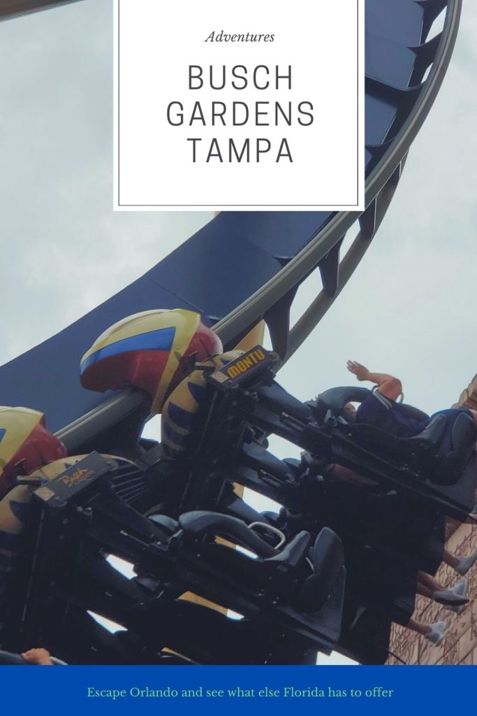 Busch Gardens Tampa, Florida, Theme Park, Thrill rides, family adventure