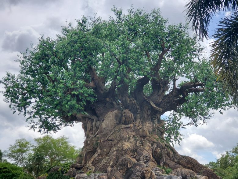 Tree of Life, Animal Kingdom, Disney World, WDW