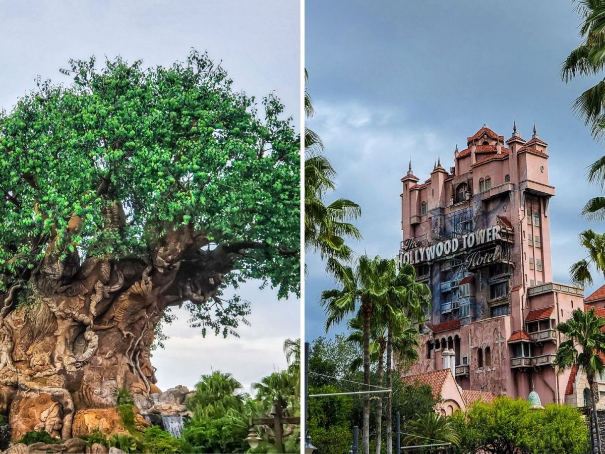 Animal Kingdom or Hollywood Studios: Which one to visit