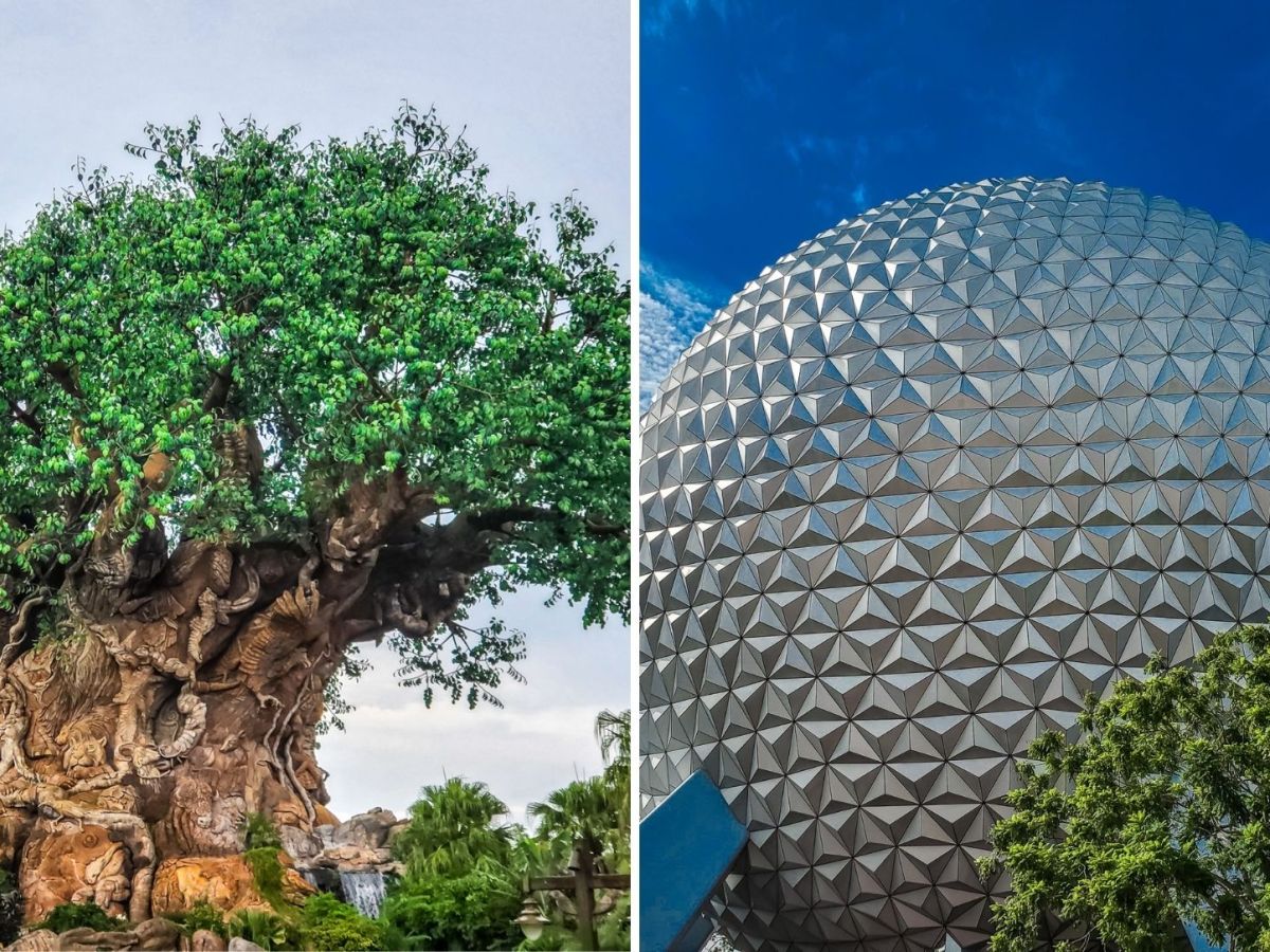 Animal Kingdom or EPCOT: Which to Visit